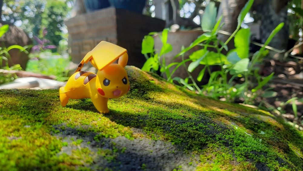 Pkm.store-verkäufe -Pkm.store-verkäufe 966