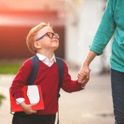 Hochwertige Schutz- Und Sammeltasche Für Pokemon Karten (200 Oder 400 Karten) -Pkm.store-verkäufe product image 1980395623